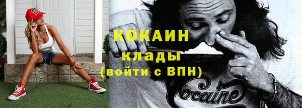гашик Белокуриха