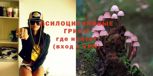 трава Магас
