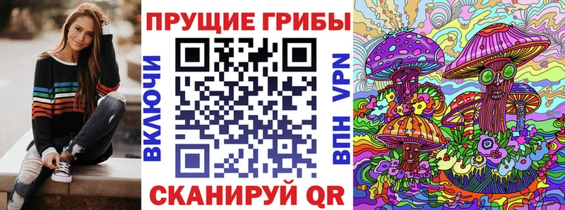 Псилоцибиновые грибы прущие грибы Пятигорск